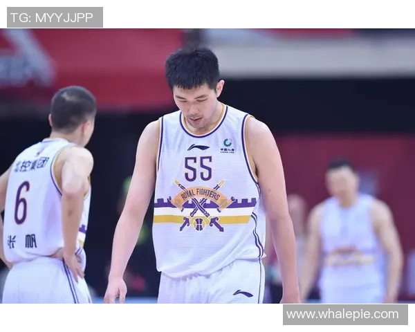 山东西王与北京紫禁勇士精彩对决回放全景分析与赛后点评