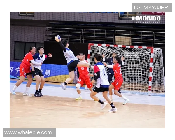 十五运会男人手球揭战幔 卫冕冠军江苏队反转广东队